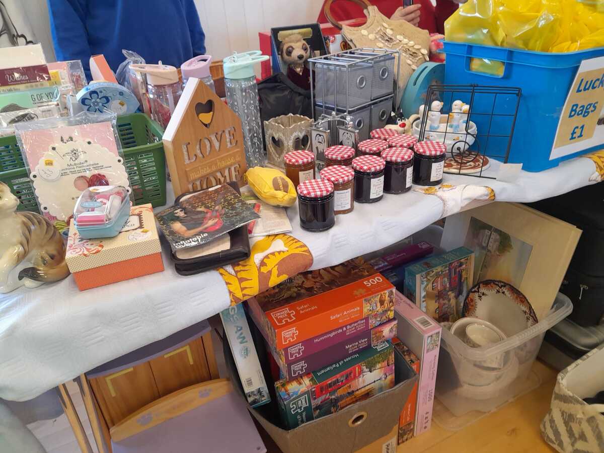 Raising money for Cats Protection